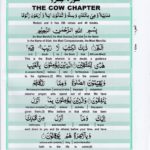 Read Holy Quran Para 1 Online - Read Quran in English Online at eQuranAcademy.com